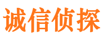 马尾侦探公司